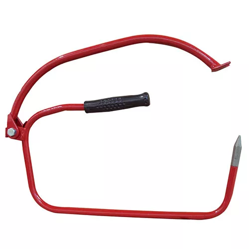 CHAMP Bullseye Picks